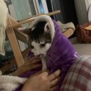 꼰대불닭발 이미지