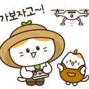 칠네일(chill nail) 이미지