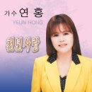 연홍 Daum카페