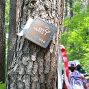 명품소나무길 이미지