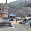 삼척 천은사 금동약사여래입상 | 삼척 두타산 속 숨겨진 보석, 천은사