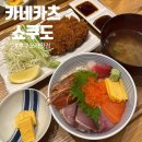 [후쿠오카] 카네카츠쇼쿠도｜연중무휴 야나기바시 시장 카이센동 맛집 후기
