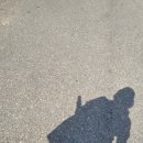- 치즈윅