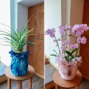 승진농장2 이미지