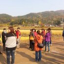 야은초교 이미지