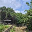 서 곡 | [대만 타이베이]♨️ 베이터우 지열곡 후기｜80~100℃ 고온 온천 증기 직접 본 기록