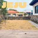 락가든 민박 | 구좌독채민박 제주도집 민박 주하네 별채 제주 동쪽 숙박 후기