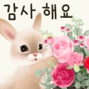 황금알 당구클럽 이미지