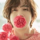 ‘Blooming’ 앨범 카카오 검색결과