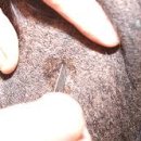 천동물병원 이미지