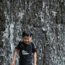 유명산자연휴양림 이미지