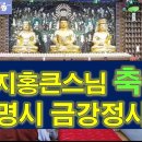 바라밀정사 Daum카페