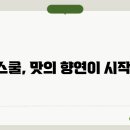 피자스쿨도 티스토리