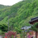 반구대암각화펜션