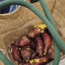 양주S한의원 이미지