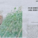 여름 그림책 놀이 이미지