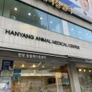한양동물메디컬센터 이미지