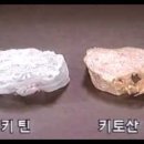 엔젤바이오건강