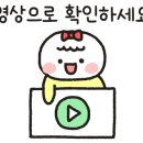 알리사 스토어