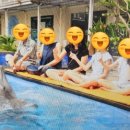 발리마린키즈 이미지