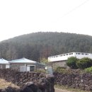 저지오름 이미지