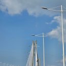 공곶이 언덕 | [거제] 봄의 수선화가 가득한 거제도 공곶이