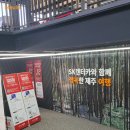 🐎 제주 여행 준비 : 이호스테이, 함덕비치스테이제주, SK렌터카 후기