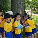 도미니꼬 애덕 어린이집 이미지