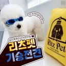 기승전견