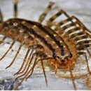 정연하다 이미지