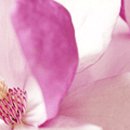 수원대학교 미술대학원 이미지