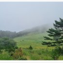 진고개로 이미지