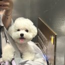 오미네커피 이미지