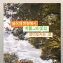 중앙농협 무거동 이미지