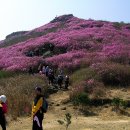 용인 산과 사람들 산악회 제54차 산행공지 이미지