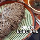 인천 주안동 모밀 오픈런 맛집 청실홍실 주안점 솔직후기