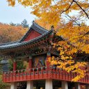 웃어야 웃을 일 이미지