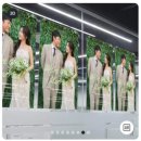 비즈앤플라워 | 💌 비즈하우스 청첩장, 식권, 웨딩포스터 제작 후기