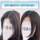 한국붙임머리증모술협회 | 서울 앞머리 붙임머리 전문점 선택이 중요한 이유!