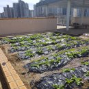 운유초등학교 이미지