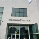 궁전애견 이미지