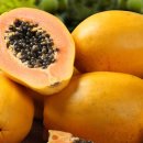 PAPAYA 이미지