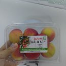 주영농원