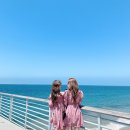 채원 이미지