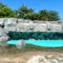 달콤풀 | 강릉 라카이 아이랑 야외풀 후기