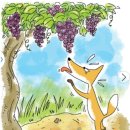 여우와 포도 이미지