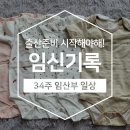 모모방 | [나의 임신기록] 34주 임산부 정기검진 + 신생아 빨래하고 당근도 하고! 간식에 빠진 일상 :)