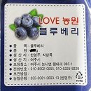 봉진농장 네이버블로그