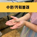 수원시 팔달구 창룡대로41번길 이미지