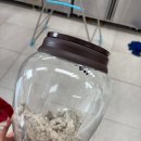 (주)한국치유농업연구소 | 수원 전통주 교육 자세한 후기 1 (전통주 / 삼양주 만들기 🍸), 수원시농업기술센터 새빛톡톡 활용 방법